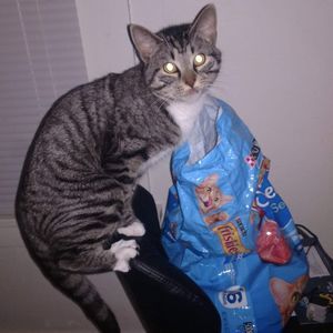 Meet your Posher, Crystal